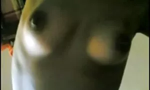 فيديو إباحي الصبي سكسي منرجم هو الأم اللعينة.