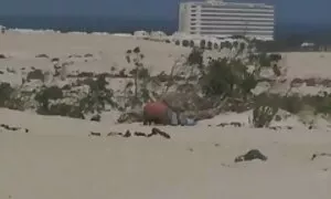 فيديو إباحي ملكة الغنائم عزيزي أريانا فيديو سكسي مترجم عادين مع كبير الثدي يتأهل